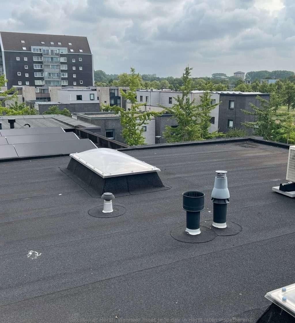 Dak Laten Inspecteren Horst