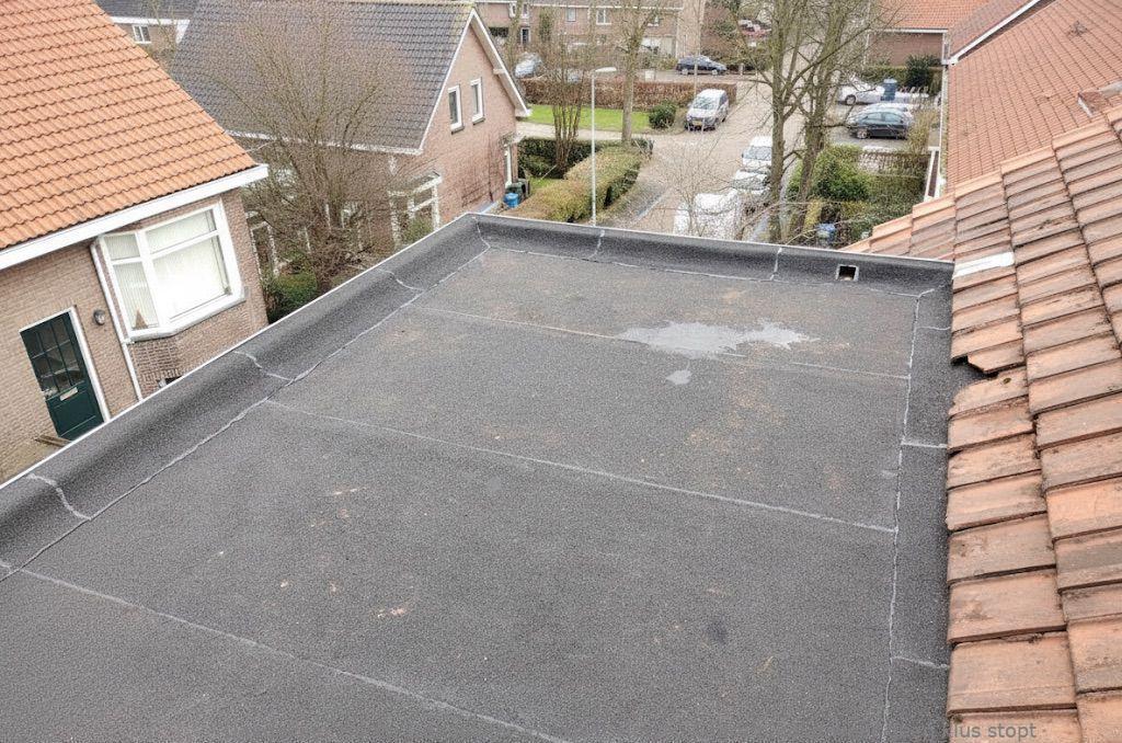 Dakdekker In Najaar Horst