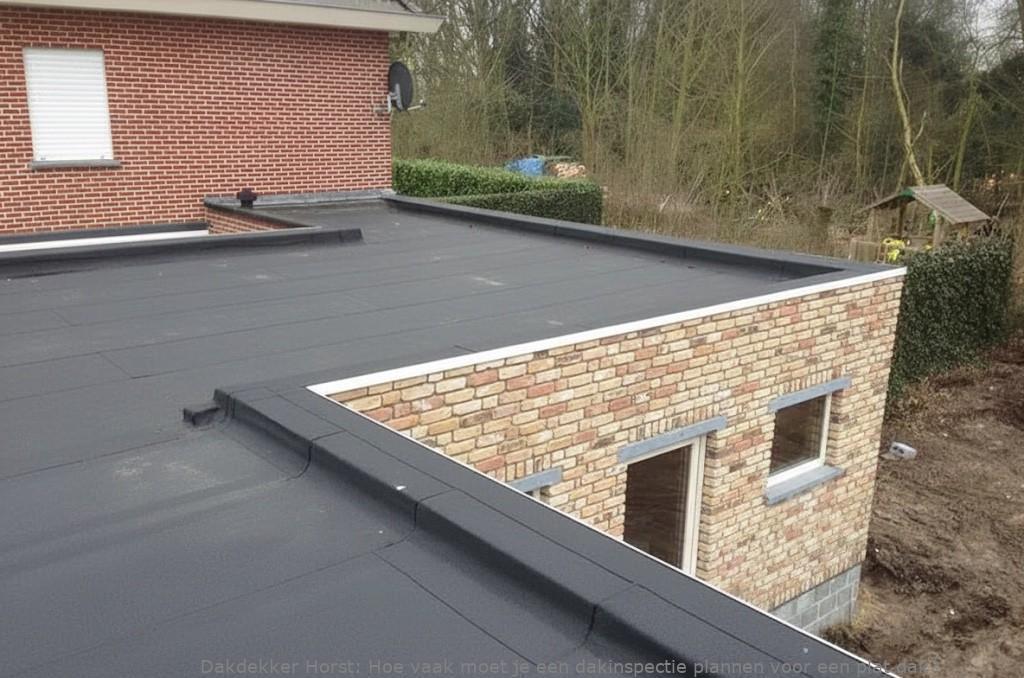 Dakinspectie Plat Dak Horst
