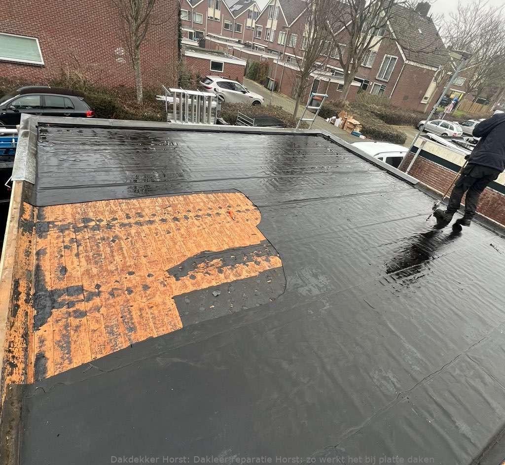 Dakleer Reparatie Horst