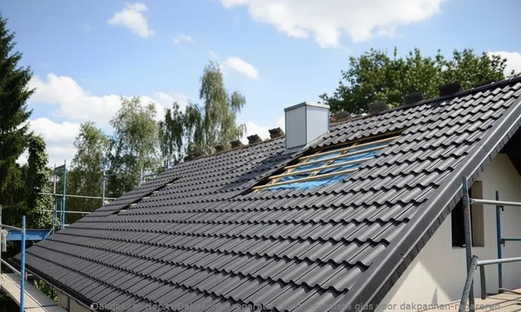 Dakpannen Reparatie Horst