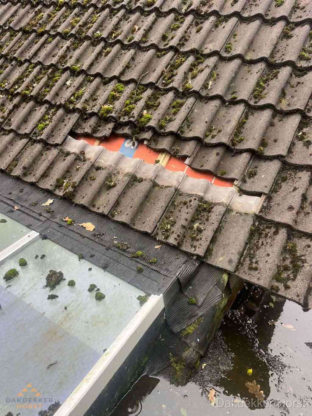 Dakpannen Repareren Horst