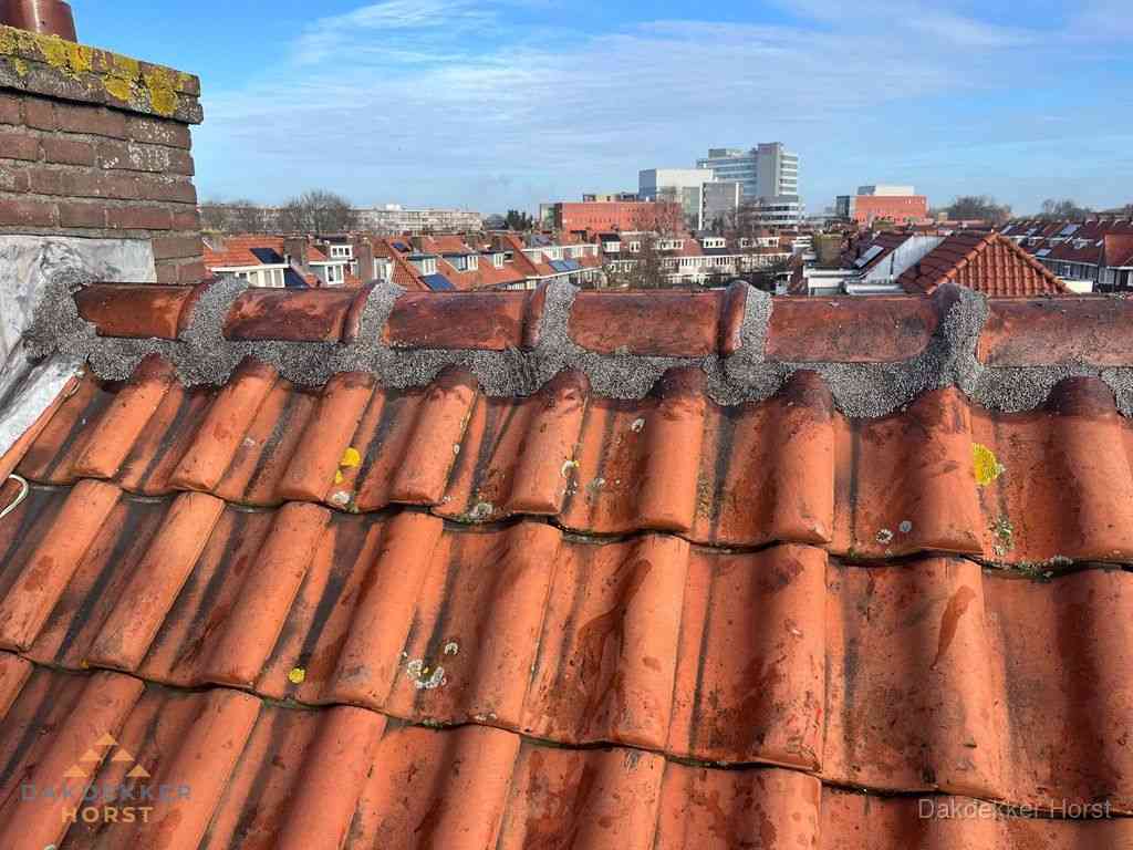 Horst Daken Renoveren