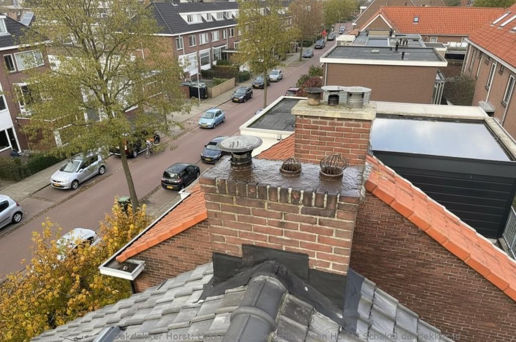 Lekkage Aan De Schoorsteen Horst