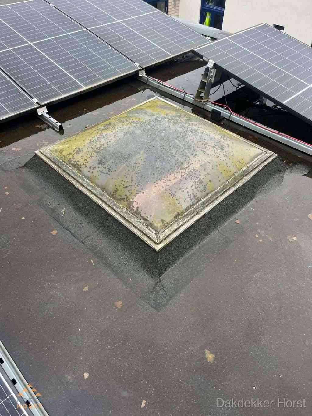 Opsporen Daklekkage Horst