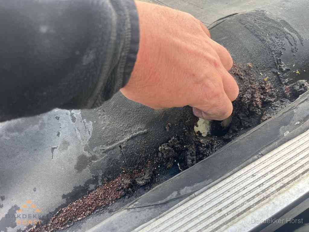 Plat Dak Reparatie Horst