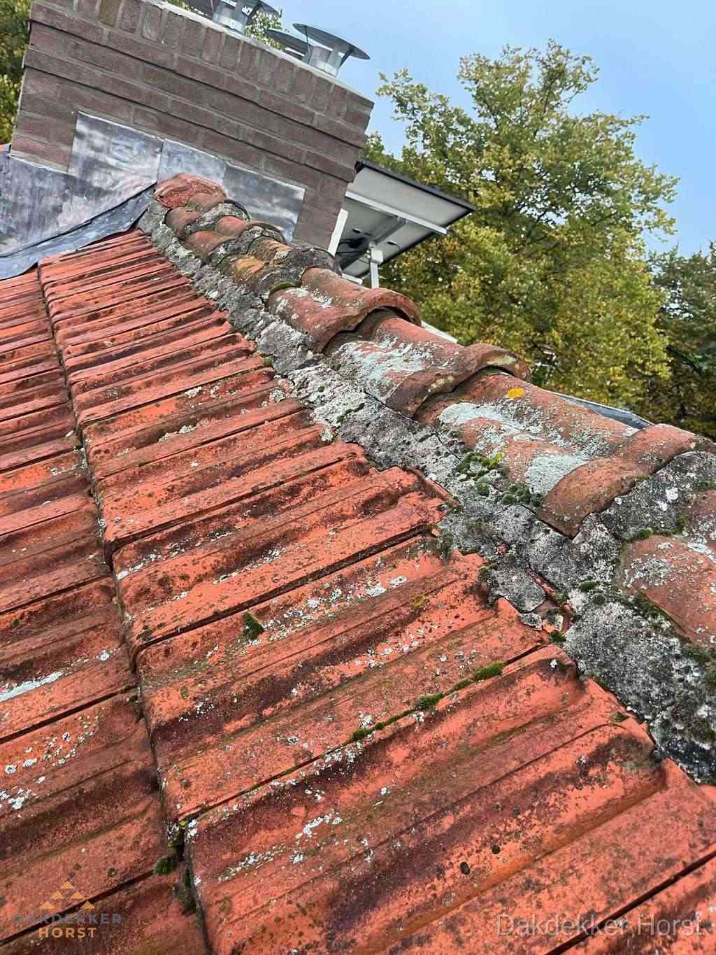 Renovatie Hellend Dak Horst