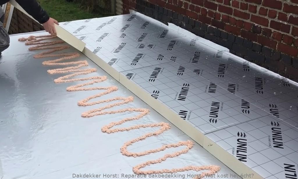 Reparatie Dakbedekking Horst