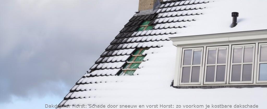 Schade Door Sneeuw En Vorst Horst