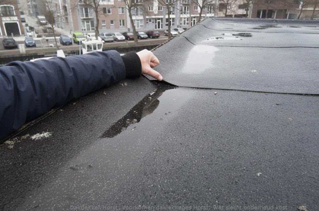 Voorkomen Daklekkages Horst
