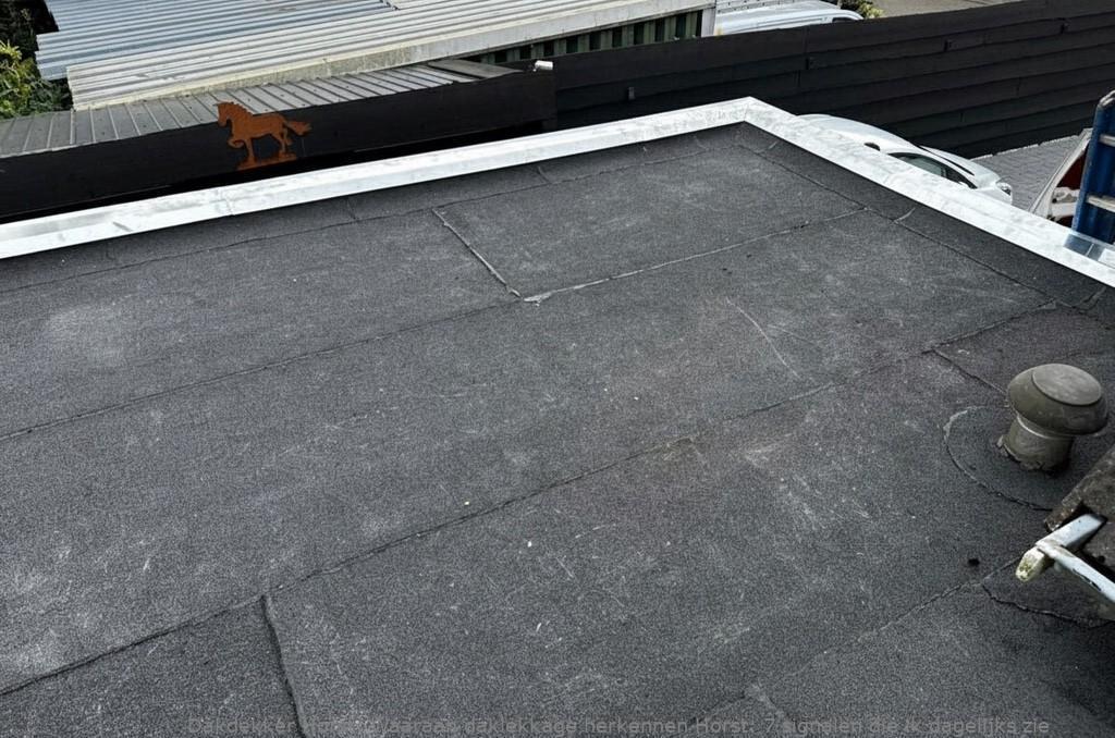 Waaraan Daklekkage Herkennen Horst